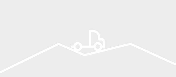 Used 2019 Dodge 1500 Truck - Pickup